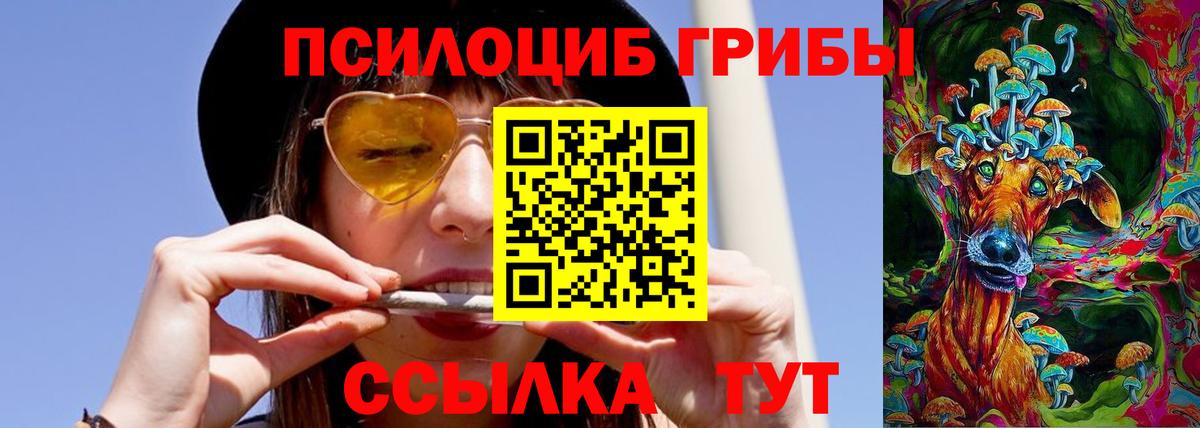 Галлюциногенные грибы Psilocybe  Вход с VPN  Нягань 